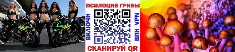 Псилоцибиновые грибы Magic Shrooms  магазин    Кондопога 